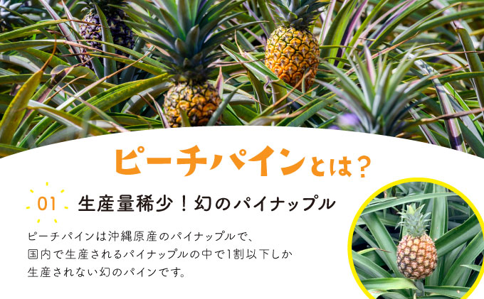 パイン ジュース ITQI2021 三ツ星受賞 15個