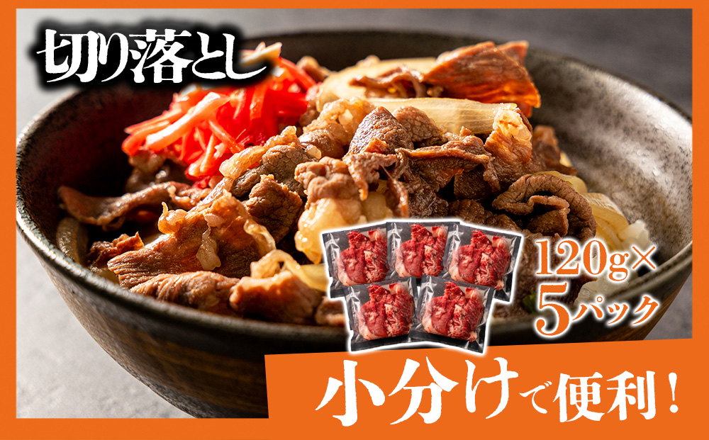 大満足！あか牛いろんな部位をお届け！サーロインステーキ すき焼き 切り落とし 3種詰合せ あか牛 サーロイン ステーキ 焼肉 牛肉 冷凍 赤牛 あかうし 熊本 贈り物 冷凍 矢野畜産 熊本県 阿蘇市