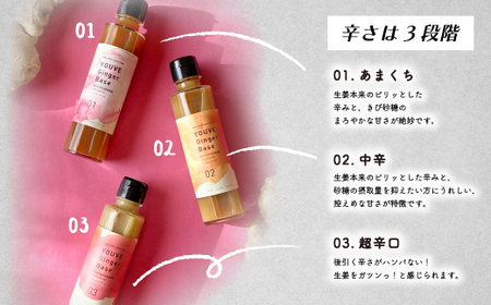 生姜好きさんにオススメ！ 濃厚 しょうがシロップ 5本セット【中辛】国産 生姜シロップ 自家製 生姜 しょうが ショウガ ジンジャー シロップ アレンジ ドリンク 料理 調味料 高知 四万十 四万十市