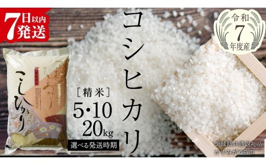 
                  ＼ 最短7営業日以内に発送 ／《 令和7年産 》 コシヒカリ 精米 5kg ～ 20kg ( 選べる 内容量・定期便・発送時期 ) (茨城県共通返礼品 かすみがうら市)  スピード発送 早い 米 ごはん もっちり 甘い コメ お米 白米 銘柄米 [EX001sa00]
                