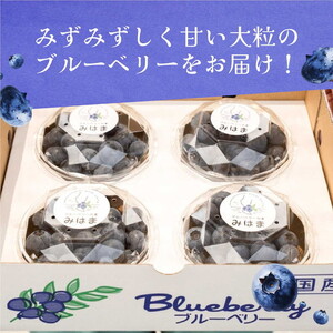 【数量＆期間限定】国産大粒ブルーベリー　100g×8パック入り ※2025年6月中旬～8月中旬に順次発送予定 ※北海道・沖縄・離島への配送不可