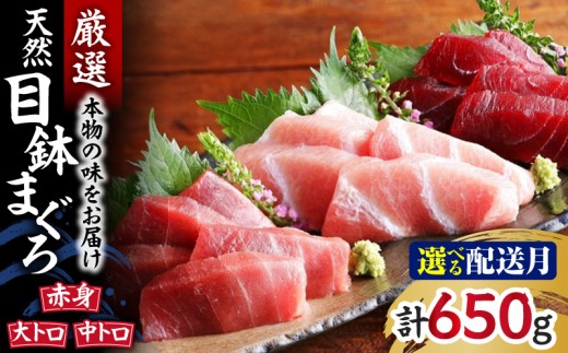 本物の味をお届け！厳選！天然三崎まぐろ大トロ・中トロ・赤身セット【10月お届け】　M005-038-10