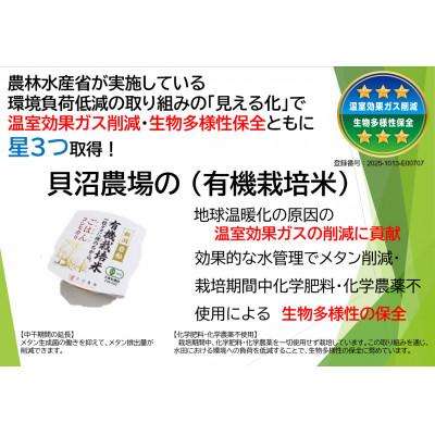 ふるさと納税 村上市 【毎月定期便】【有機栽培米】新潟県岩船産コシヒカリのパックごはん(150g×20個)　全6回 |  | 03