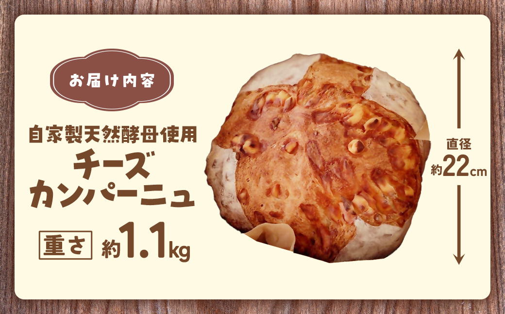 自家製天然酵母を使ったチーズカンパーニュ　【HTR-02】