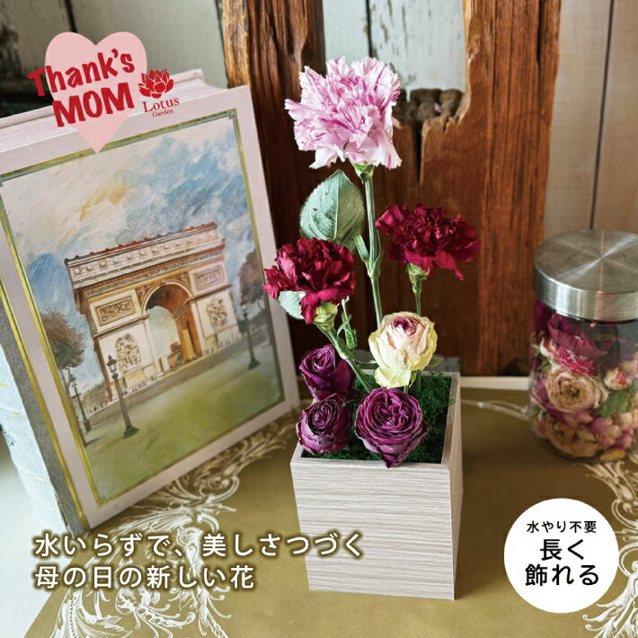 【ふるさと納税】≪5/6〜5/10にお届け≫ 母の日 2026年 フリーズドライフラワー 「ゼロフラワーの母の日2026」東北 山形県 酒田市 庄内 LotusGarden フリーズドライ専門店 Next Level FLOWERS Japan ゼロフラワー