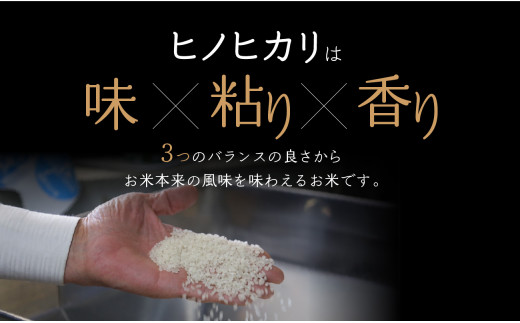 【定期便2か月】京都府木津川市 お米20kg（10kg×2回）特別栽培米