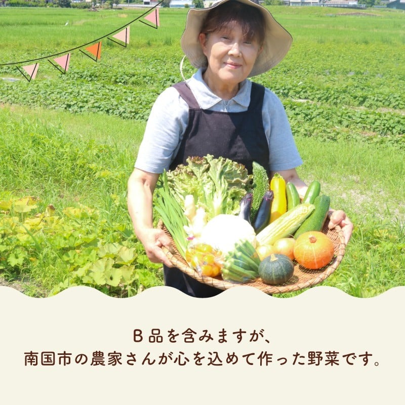 【半年に1回お届け 全2回コース】南国土佐の季節の野菜詰め合せセット | 定期便 セット 詰め合わせ 旬 やさい 野菜 卵 農家直送 お楽しみ かぼちゃ カボチャ キャベツ きゃべつ トマト とまと 