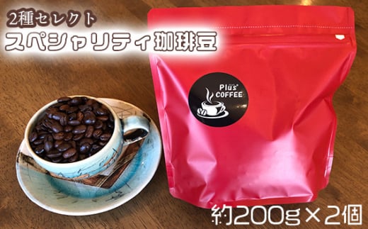 No.204-04 【スペシャリティ珈琲豆】グァテマラ+Plusブレンド珈琲 ／ コーヒー コーヒー豆 焙煎 ブレンド 愛知県