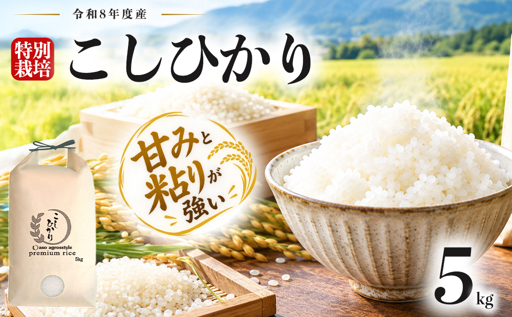 【選べる品種】R8年産 特別栽培米 コシヒカリ 5kg（白米）阿蘇アグロスタイル 新米 精米 米 ごはん 人気 美味しい こしひかり 甘味 もちもち なめらか 減農薬 湧水 熊本県 阿蘇市 コシヒカリ
