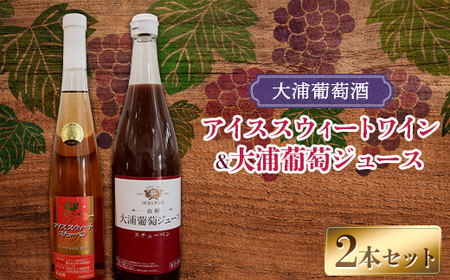 大浦葡萄酒 スチューベンセット 「アイススウィートワイン 375ml ＆ 大浦葡萄ジュース 720ml」 『(有)大浦葡萄酒』 ロゼ 極甘口 ストレートジュース 山形県 南陽市 [2075]