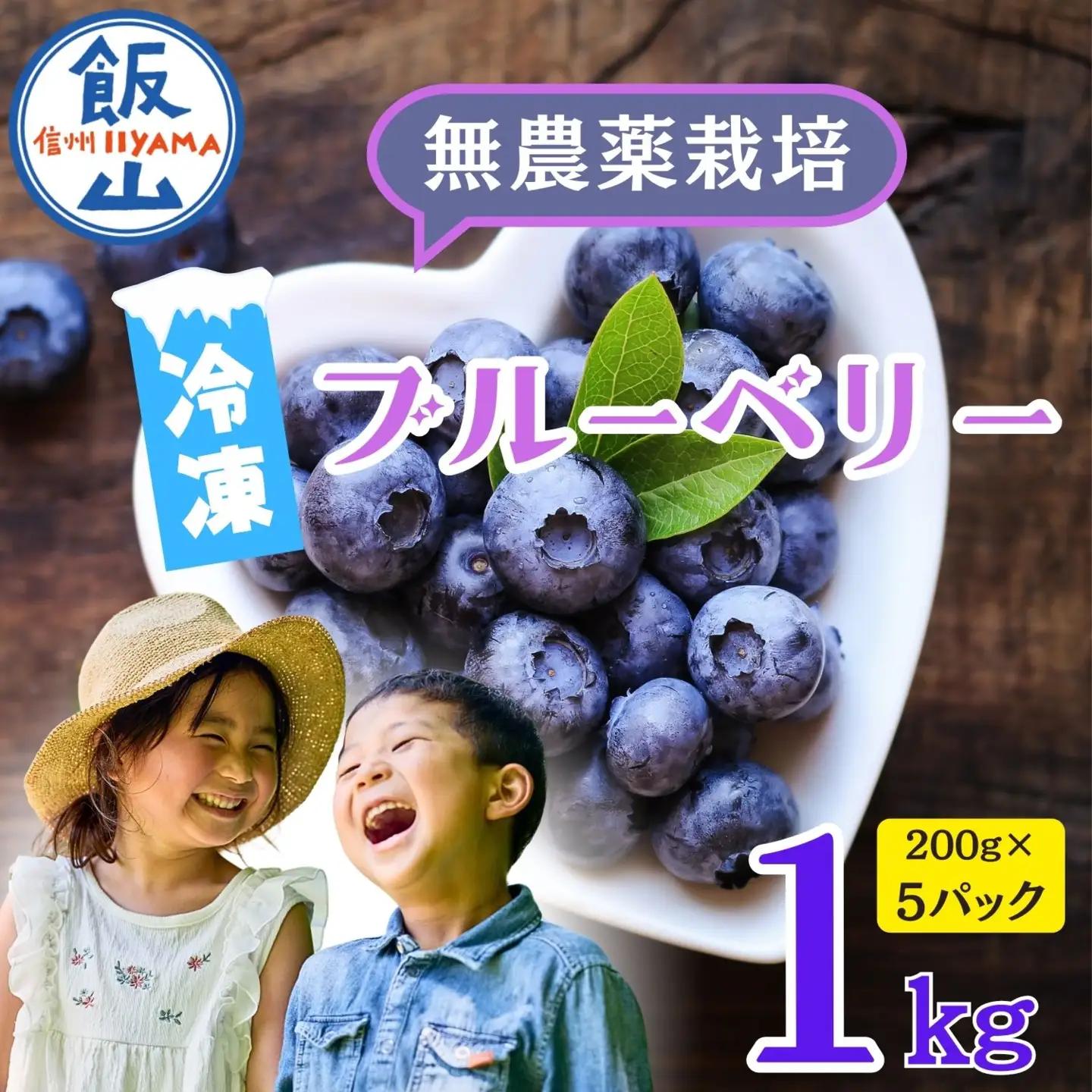 ブルーベリー １kg 【冷凍】【2026年7月より発送 先行予約】Br-003