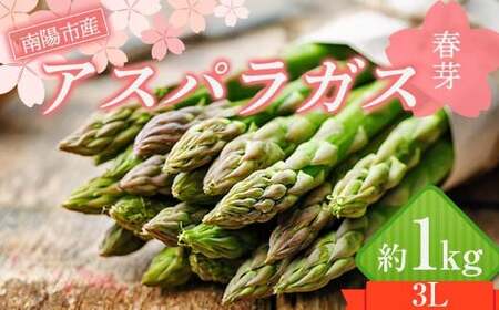 【令和8年産先行予約】 アスパラガス (春芽) 約1kg (3Lサイズ 約20～25本前後) 《令和8年5月～発送》 『生産者 紺野 幸陽』 山形県 南陽市 [2243]