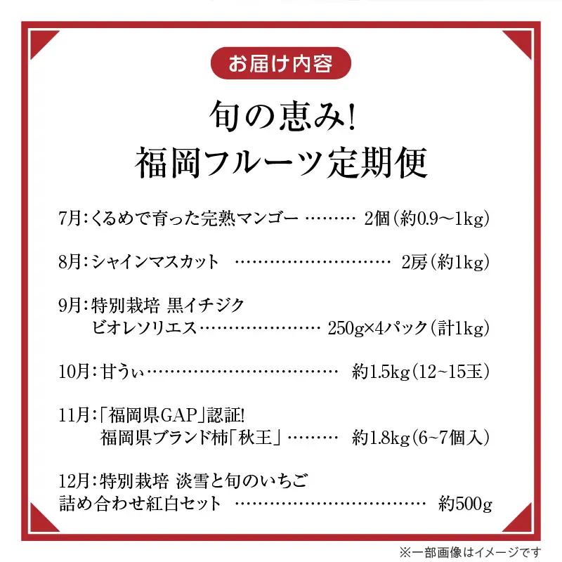 【定期便 6回】旬の恵み！福岡フルーツ定期便 _ 定期便 6回 フルーツ 完熟 マンゴー シャインマスカット 黒イチジク ビオレソリエス キウイ 甘うぃ 柿 福岡県GAP 秋王 あまおう いちご グル