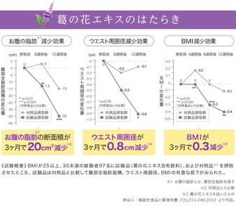 DHC お腹の脂肪が気になる方の葛花茶 特定保健用食品 30日分 2個(60日分) セット