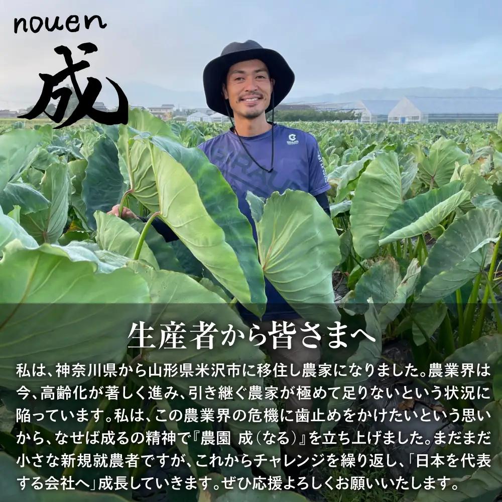 【令和8年産】里芋 2kg 〔 2026年 10月頃 ～ 発送予定 〕