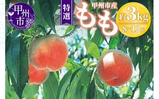 甲州市産 桃 約3kg 8～12玉（特選）【2026年発送】（OGN）C-1801 【桃 もも モモ 令和8年発送 期間限定 山梨県産 甲州市 フルーツ 果物】