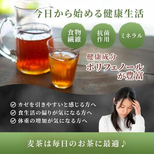 麦茶 ティーバッグ 100パック お茶 茶 飲料 日本茶 国産 麦茶ティーバッグ セット 詰め合わせ 京都 和束町