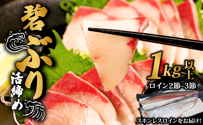 ＼10営業日以内発送／ 鰤 ぶり ブリ 碧ぶり 活締め 皮なし 2節 ~ 3節 計 1kg 以上 南予ビージョイ 冷蔵 活〆 スキンレスロイン ロイン 鰤ロイン 碧鰤  養殖ぶり  養殖鰤 鰤しゃぶ 