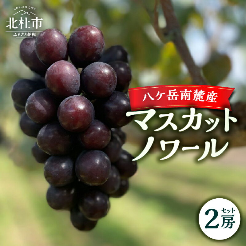 【ふるさと納税】 マスカットノワール 2025年 先行予約 2房 セット 約1kg 期間限定 数量限定 黒系葡萄 黒系シャイン マスカット 新品種 葡萄 ぶどう ブドウ フルーツ 果物 大粒 コク 甘い 種なし 山梨県 北杜市 八ヶ岳南麓 送料無料