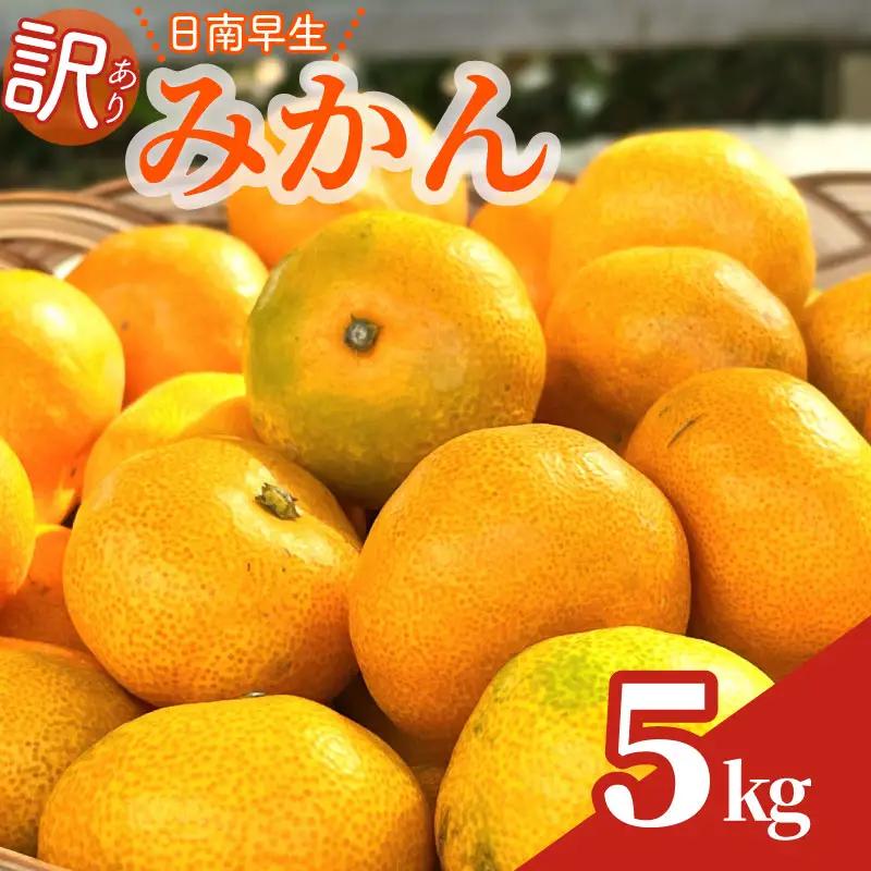 【訳あり】早生みかん 5kg 日南 minorien 静岡 牧之原