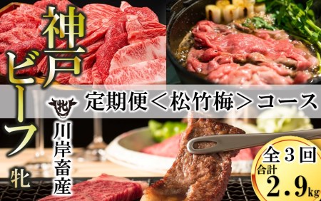 神戸ビーフ【定期便3回】松竹梅コース計2,900g