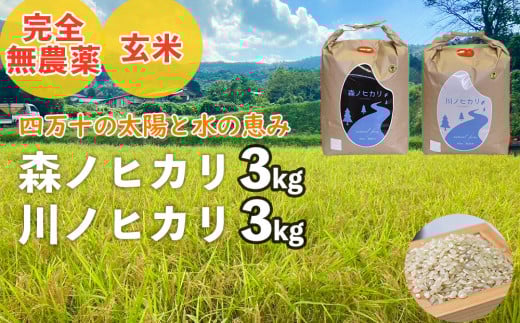 【2025年産米】完全無農薬の玄米『森ノヒカリ(3kg)』『川ノヒカリ(3kg)』セット　Bnm-A21　／お米 朝日 米 数量限定 四万十 高知 チェーン除草 贈り物 ギフト プレゼント お取り寄せ お歳暮 お中元 御年賀
