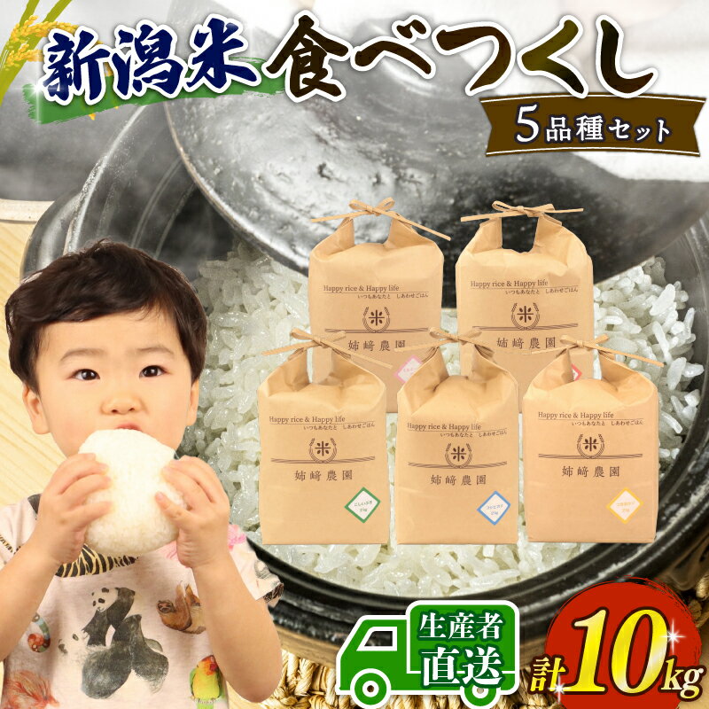 【ふるさと納税】 新米 コシヒカリ こしひかり 食べ比べ 計10kg 2kg5品種セット 令和7年産 こしいぶき ミルキークイーン つきあかり にじのきらめき 特別栽培 白米 米 こめ 大粒 ごはん おにぎり お弁当 農家直送 産地直送 姉崎農園 新潟県 新発田市 anezaki012