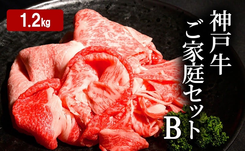 
            神戸牛 ご家庭セットB 計1.2kg （ 切り落とし ・ 煮込み用 ・ すじ肉 各400g）
          