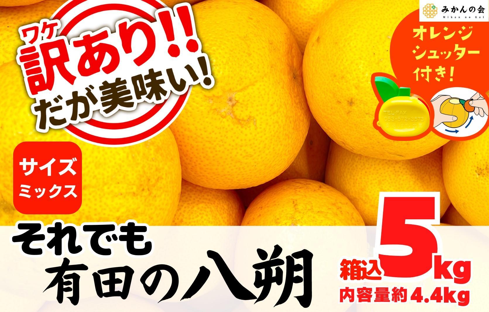 八朔 訳あり それでも 有田の八朔  (はっさく) 箱込 5kg (内容量約 4.4kg) サイズミックス B品 和歌山県産  産地直送【おまけ付き】【みかんの会】