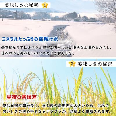 ふるさと納税 飯山市 【令和8年新米予約】《定期便》こしひかり 2026年10月より5kgx3回「 木内ファームのお米」 |  | 01