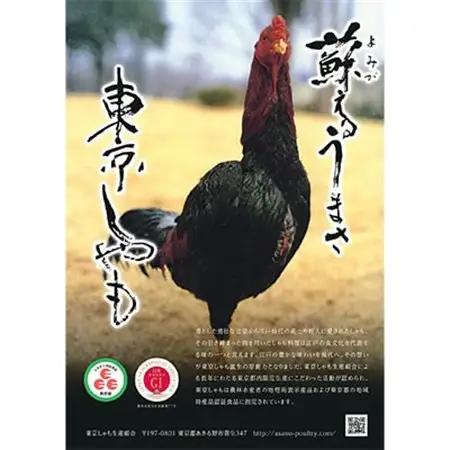 【よみがえる江戸の味】東京しゃも　もも肉・むね肉　スライス　500g(浅野養鶏場)【配送不可地域：離島】【1429794】