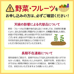【2026年8月以降発送 先行予約】シャインマスカット 1房 おまかせ品種 1房 約1kg
