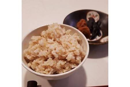 【令和7年度産】《新米》【11月下旬より順次発送予定】色彩選別加工済大和米 奈良県広陵町ヒノヒカリ玄米20kg /// ひのひかり ヒノヒカリ ブランド米 玄米 ご飯 お米 大和米 おにぎり おむすび