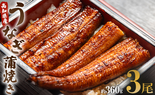 うなぎ蒲焼き 3尾(合計約360g)(無頭) - 送料無料 鰻 ウナギ 魚介 晩ご飯 夕飯 おかず おつまみ スタミナ 敬老の日 ギフト 贈答 贈り物 丑の日 うなぎ屋きた本 高知県 香南市 冷凍 u