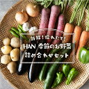 【ふるさと納税】季節のお野菜詰め合わせセット 送料無料 野菜 新鮮 農薬不使用 新鮮 採れたて HAN