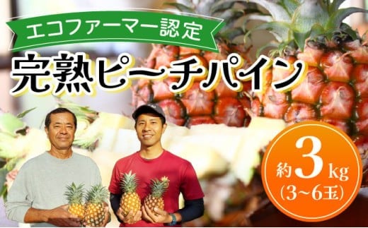 《2026年先行予約》ピーチパイン 約3kg 3～6玉 農園ファイミール 完熟 果物 フルーツ 031-a004_2026