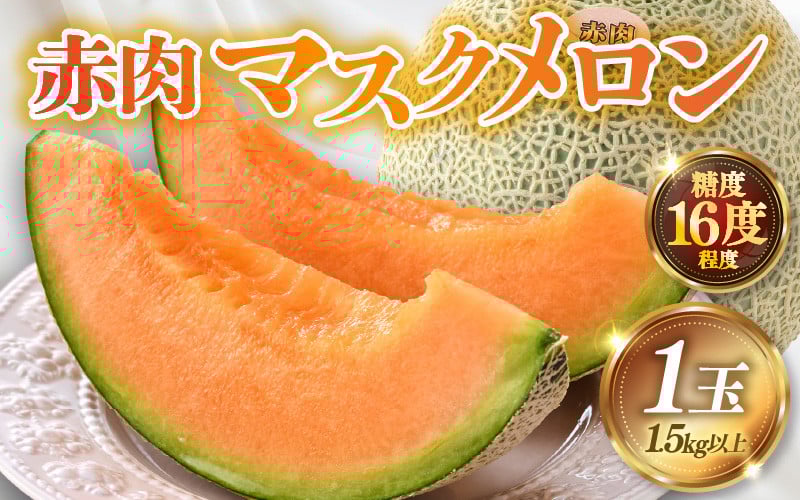 
            【先行予約】赤肉パリスメロン 秀品 1玉（1.5kg以上）【アールス系赤肉メロン】《糖度16度程度！1株1果採りで育てる高級メロン！》／ 果物 フルーツ 農家直送 赤肉 マスクメロン アールスメロン ギフト 贈答用 ※2026年7月上旬より順次発送予定 [aw028-a005]
          