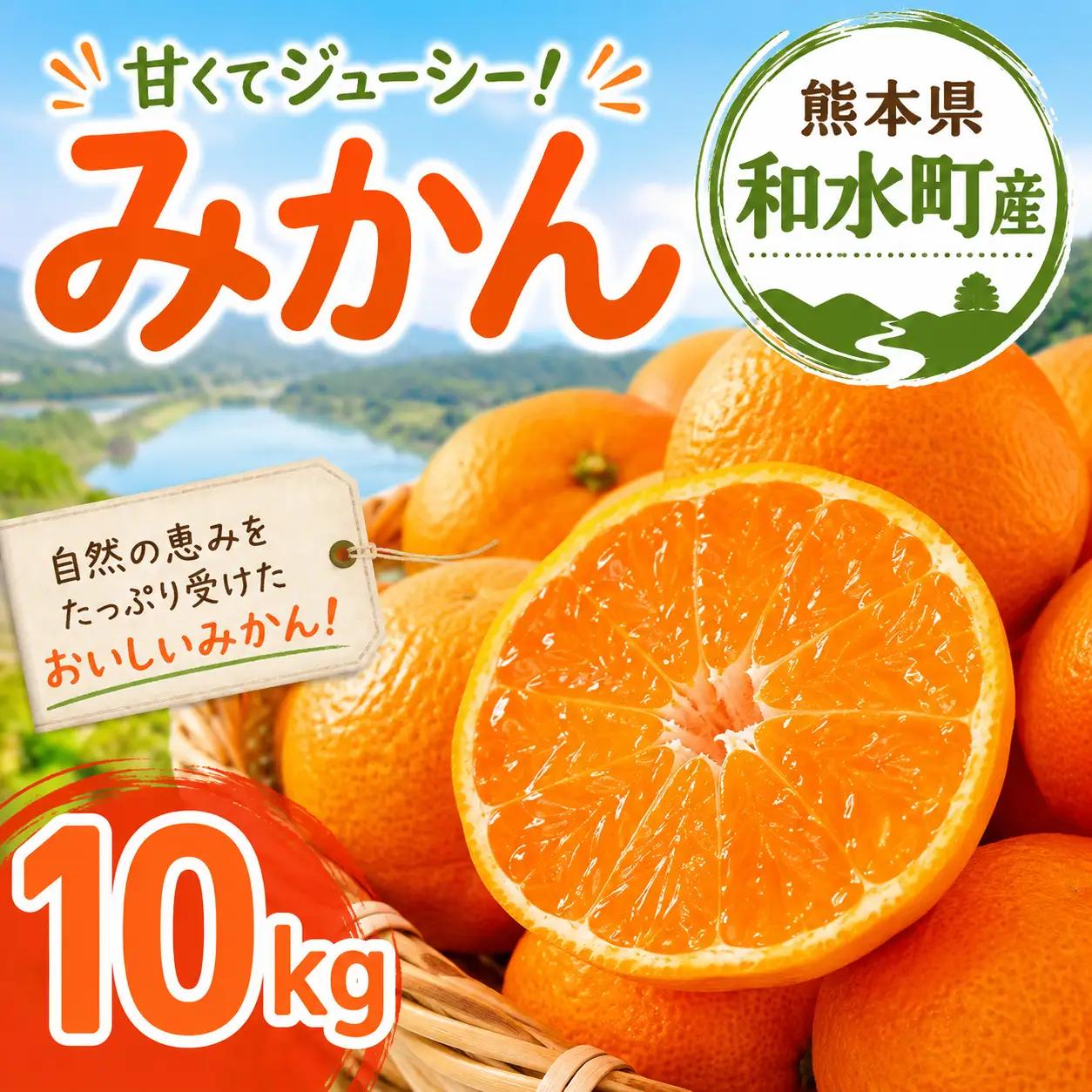 熊本県 和水町産 大小混合 みかん 10kg ミカン フルーツ 果物