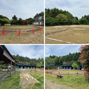 Shiina Riding Club　引き馬体験10分程度【茨城県 北茨城市 アクティビティ おでかけ レンタル 体験 チケット 馬】（DA002）