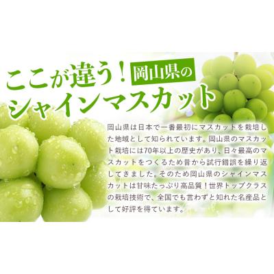 ふるさと納税 笠岡市 フルーツ 厳選 晴れの国定期便 シャインマスカット 1.5kg 白桃 2kg 米 20kg 無洗米 |  | 02
