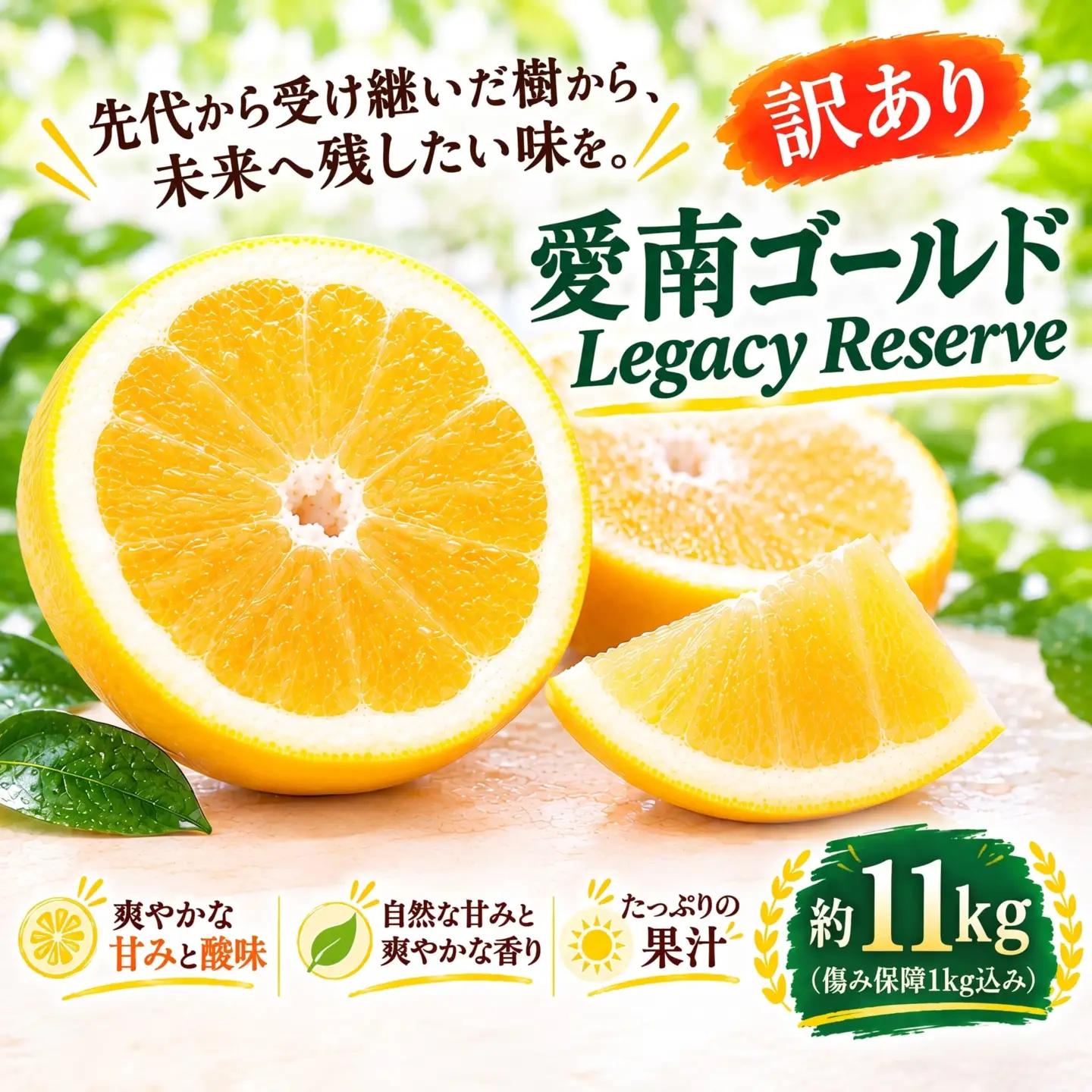 【先行予約】 訳あり 愛南ゴールド 約10kg＋傷み保障約1kg 合計約11kg 河内晩柑 柑橘 フルーツ 果物 みかん 家庭用 傷 不揃い 農園直送 愛媛県 愛南町 エニシトラス 発送期間：2027年4月上旬～5月下旬（なくなり次第終了）