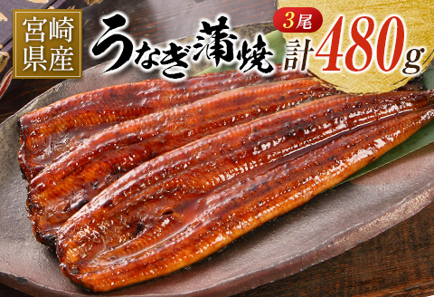 宮崎県産 うなぎ 蒲焼 3尾 計480g 個包装 長焼 国産 鰻