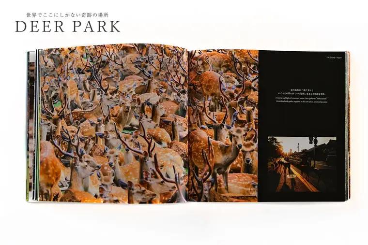 奈良の鹿 写真集「DEER PARK 世界でここにしかない奇跡の場所」奈良公園 サイン入り KAZUTO PHOTO OFFICE 佐藤和斗 I-193