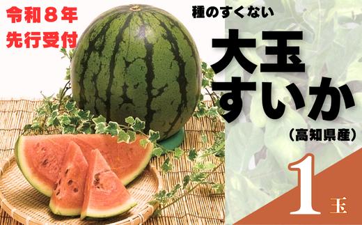 103001　山中農園のスイカ　1玉