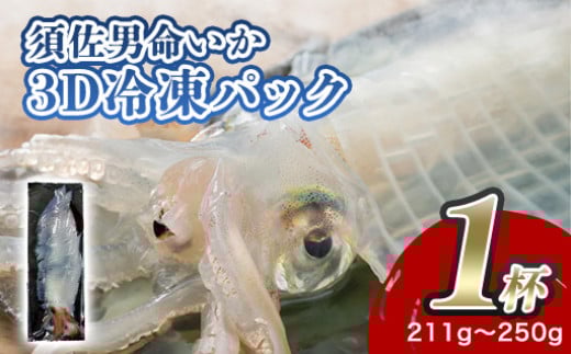 自宅で透明感を再現！須佐男命いかの姿造り（刺身）特殊冷却「3D冷凍」パック 1個　｜HG000427