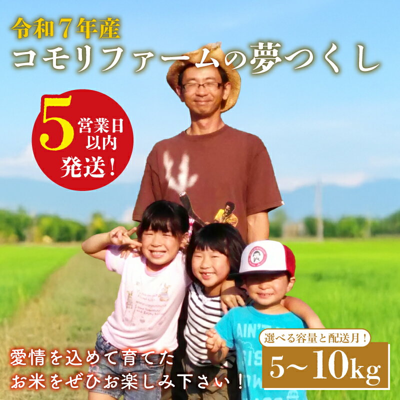 【ふるさと納税】スピード配送 米 5kg / 10kg 令和7年産 夢つくし 5キロ12月発送10月 生活応援米 ふるさと納税 米 精米 お米 白米 福岡県産 ブランド 米 数量限定 国産 福岡県産米 コスパ 備蓄米 5kg 防災 コメ 5kg×2 コモリファーム 福岡 川崎町