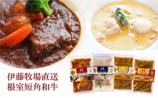 A-13006 4種のシチュー・カレーセット