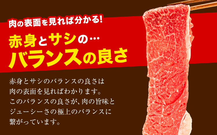 牛肉 赤身 クラシタ ロース すき焼き あか牛 肩ロース 600g (300g×2パック)《60日以内に出荷予定(土日祝除く)》---gkt_fakakrst_60d_24_11000_600g---