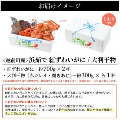 ふるさと納税 越前町 【訳あり】浜茹で 紅ずわいがに 2杯 & 大判干物「赤かれい・あじ」セット【4月発送分】 |  | 03