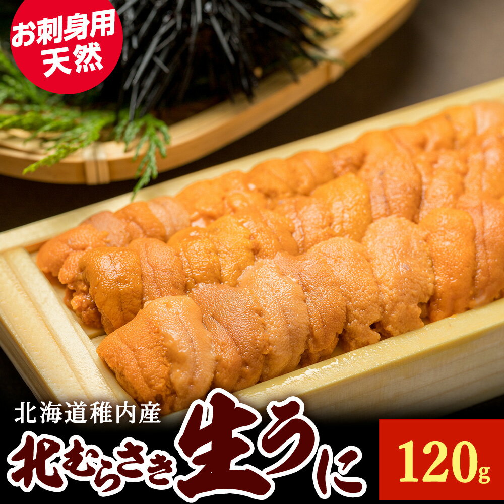 【ふるさと納税】【先行予約】『天然刺身用』北むらさきウニ 120g ウニ 刺身ムラサキウニ うに むらさきうに 海鮮 海産物 北海道ふるさと納税 稚内 ふるさと納税 北海道 【配送不可地域：離島・沖縄県】